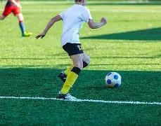 日本乒乓球,主力球员涉,嫌婚外情,B,Sports,B体育,体育直播,体育赛事,APP下载,官方网地址