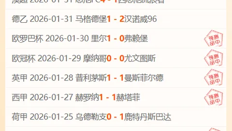 伯恩茅斯引进怀森与科尔克兹，斥资3137万，夏窗操作有望净赚千万