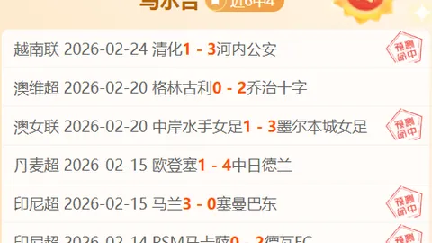 巴西队败给阿根廷，主帅多里瓦尔宣布辞职
